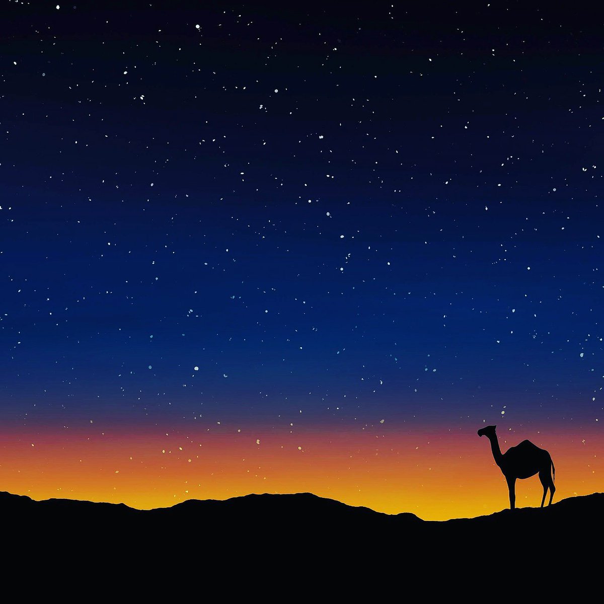 6hourlycom's tweet photo. Every #sunset is an #opportunity to reset.
#6hourly #nature #desert #camel #MondayMotivation #life #beauty https://t.co/upE0Y9hhPI