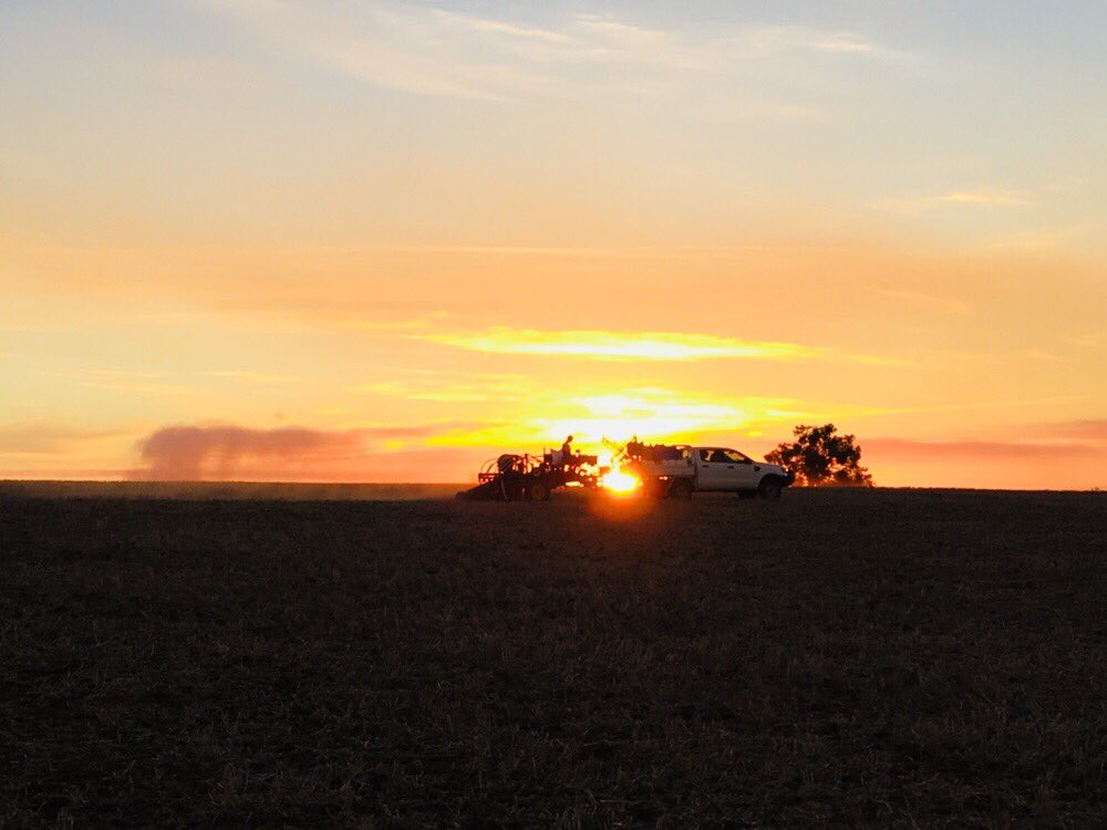 summitfertz's tweet photo. More romantic moments with the @summitfertz #FieldResearch team. Trials by sunset for better understanding soil test P in high PBI forest gravel loams with @AgSolutionsOz @Tucsy438 #SummitQ #knowledgequestneversleeps https://t.co/cYXf1SuYIM