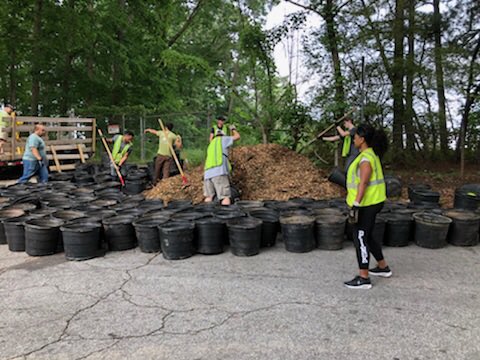 ATLBuffs's tweet photo. Had a great time at our annual #BuffsGiveBack day of service with @TreesAtlanta! Looking forward to our next day of volunteering. #ATLBuffs #ForeverBuffs https://t.co/t2AUDnup2M
