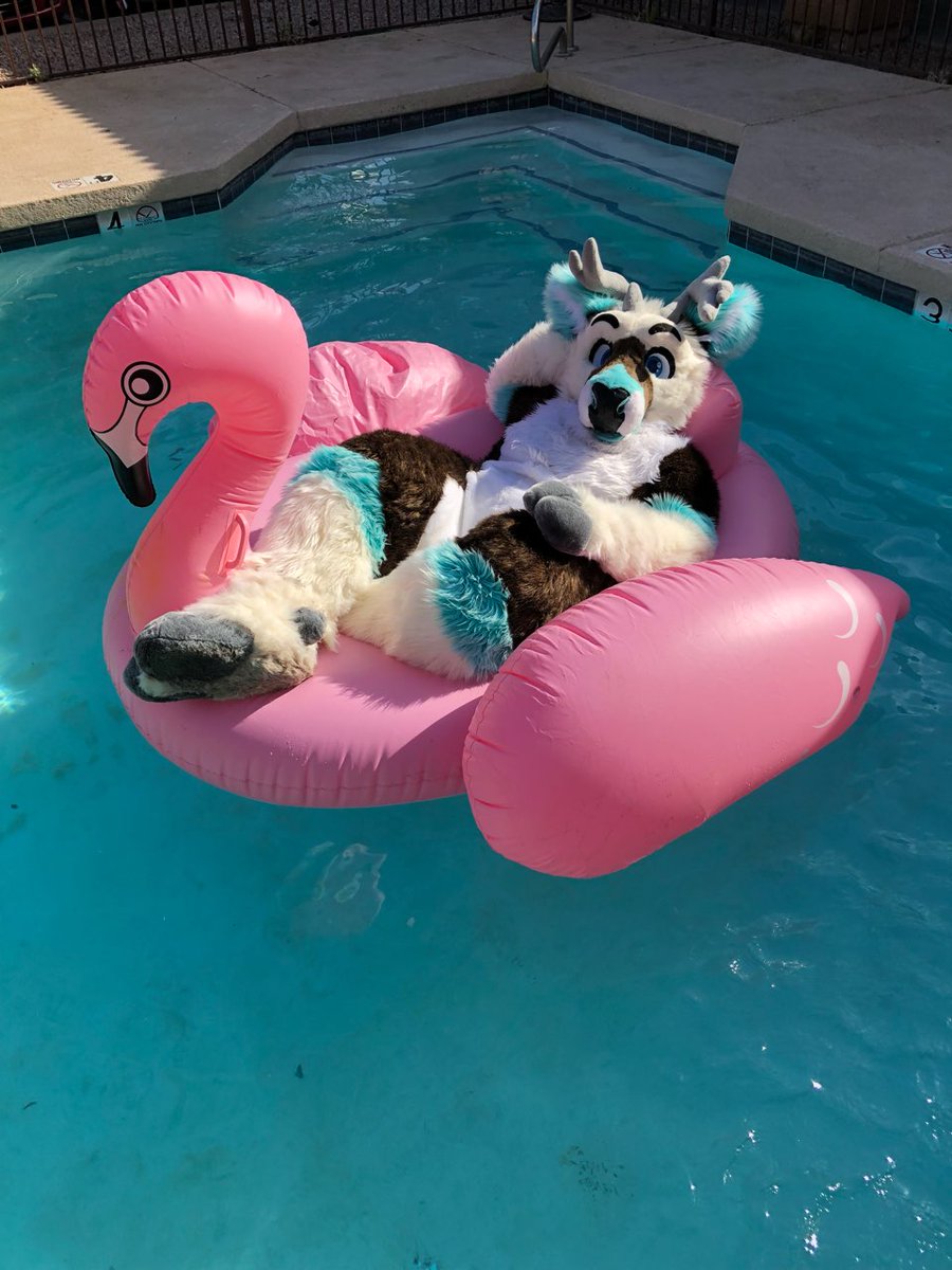 FreshwaterCacti's tweet photo. Had a lazy day at the pool today ♡♡♡
#furry #furries #fursuit #sundayfunday #inflatablefurs #pooltoy #poolside #pool #giantflamingo
✂ @makedasoot
📸 @GavinTheShep https://t.co/wF0H8fnBRG