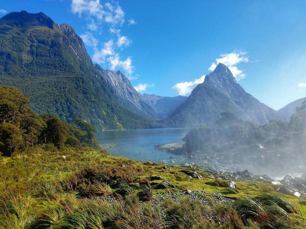 Dark Markets New Zealand