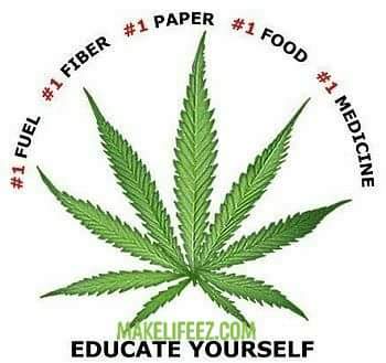 Angel07471851's tweet photo. Come learn with me........ 🤓📖
GET INFORMED !!
#hempstrong #cannabisfirst
#cannabisasmedicine
#naturaloverall #AngelofBetter
#changinglivesonedropatatime
#cannabisasfiber #cannabisplastic
#hempcerete........................
#cannabisestimated50000uses

https://t.co/OsMLhv2F73 https://t.co/vwSiayeo1h