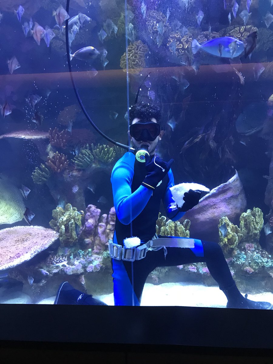 abe_lani's tweet photo. Orang tanya aku kerja apa. Aku cakap tukang sapu cermin dan tukang bagi makan ikan. Tapi ramai yang tak percaya. Ini adalah buktinya https://t.co/xH3aK4TyFY