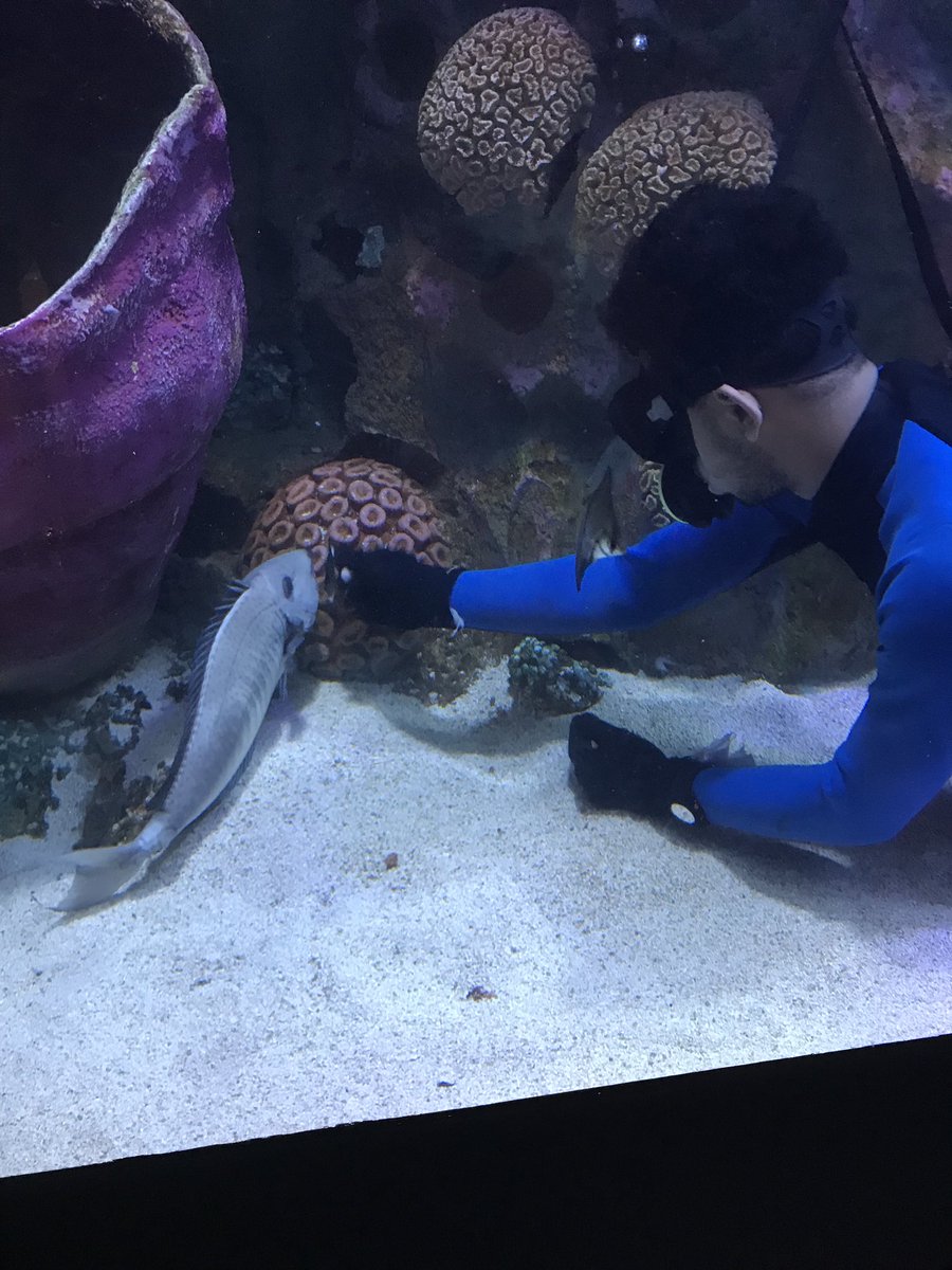 abe_lani's tweet photo. Orang tanya aku kerja apa. Aku cakap tukang sapu cermin dan tukang bagi makan ikan. Tapi ramai yang tak percaya. Ini adalah buktinya https://t.co/xH3aK4TyFY