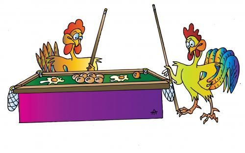 snookered_adi's tweet photo. Obviously #chickens can't play snooker! #SnookerRules https://t.co/r4hZ3uF1Rj