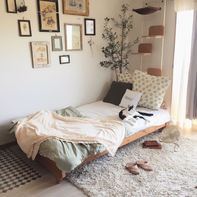 ideatips_'s tweet photo. แต่งห้องให้บรรยากาศอบอุ่นด้วยสไตล์
Minimal Japanese ◻️🌿 https://t.co/23DcScg9OD