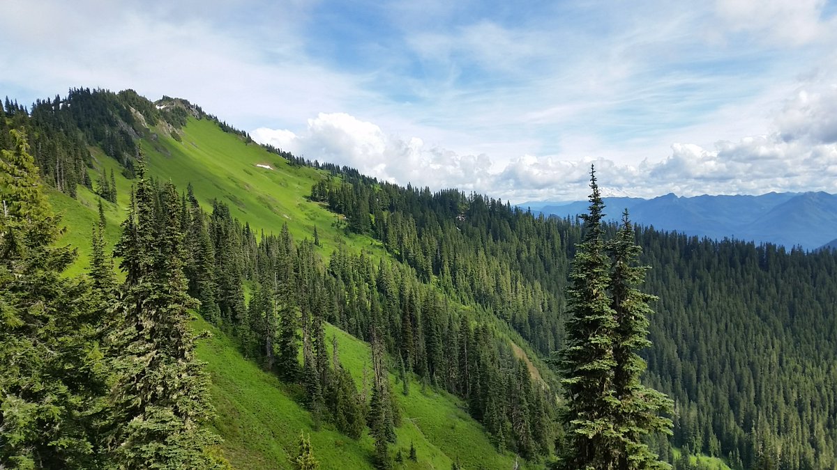 publiclandlvr's tweet image. #Goodnight #publiclands. I love you because even in the heat of July you will cradle patches of snow and hold them patiently in the folds of your meadows. Thank you for being my soul's respite.

📸: @publiclandlvr of the Tatoosh Wilderness, @GPNF.