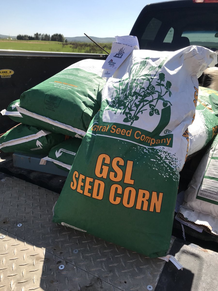 green_bos's tweet photo. Getting ready to lay some corn seed down #plant18 #corngrazing #Generalseed #Leafycorn https://t.co/DxanvmztVS