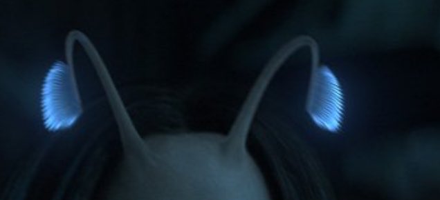 그거 알고 계신가요? 제 더듬이는 어떤 능력, 감정을 발휘하며 느끼냐에 따라서 모양이 조금씩 달라져요!