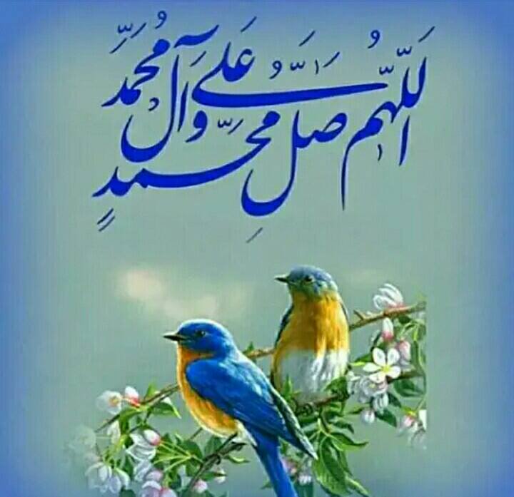 أبو علي 🇮🇶 tweet media