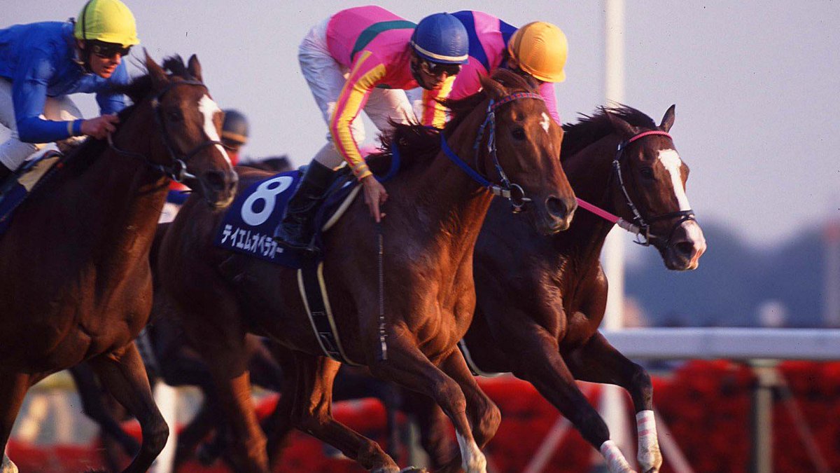 Bloodstockcomau's tweet photo. T M Opera O who held the world earnings record for 17 years, has died aged 22 at stud in Japan. A son of Opera House, he won 14 times from 26 starts, including seven Grade 1s, four Grade 2s and a Grade 3. 📌Read more: https://t.co/9MlW6CW5qs https://t.co/ztIodFjKFB
