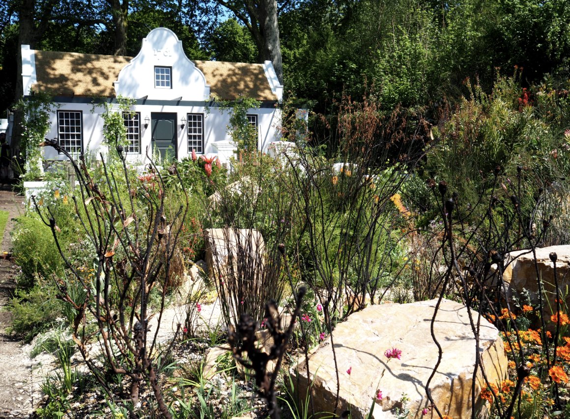 Dougthegardener's tweet image. #rhschelsea is looking good, with the Trailfinders South African Wine Estate Garden filled with exotic planting, basking in the May sunshine...

Stunning...

#Chelsea2018
#Southafrica
#Plants
#gardens
#gardendesign