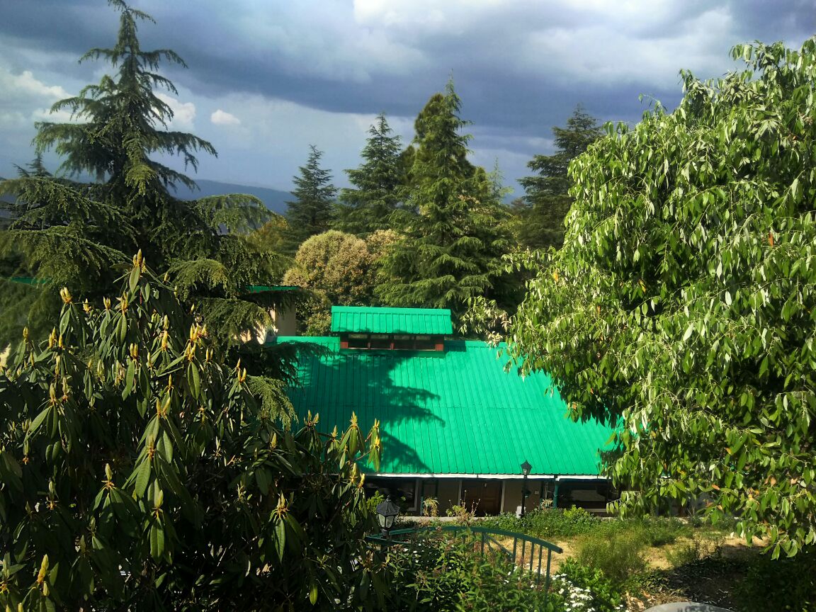 Hito_Travelz's tweet photo. Shitlakhet, Almora, The soul of kumaon, in the heart of forest.
Travel with HITO Tour
Call us on +919690662211
https://t.co/DRsg5puUqP
#travel #tour #incredibleIndia #tourism #solotravel #nature #photography #amazing #view #hills #mountain #uttarakhand #travel_life #forest_view. https://t.co/Ij50PzjX7O