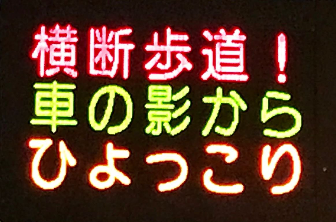 yuppi_KK's tweet photo. （横断歩道、止まってますか⁉️横断しようとしている歩行者がいる時は、必ず一時停止を‼️運転免許を取得した時のことを思い出して欲しいのだ😕横断歩道に差し掛かったら、歩行者がいないか、まず確認を👀）（本官） https://t.co/km8H5AR3ha