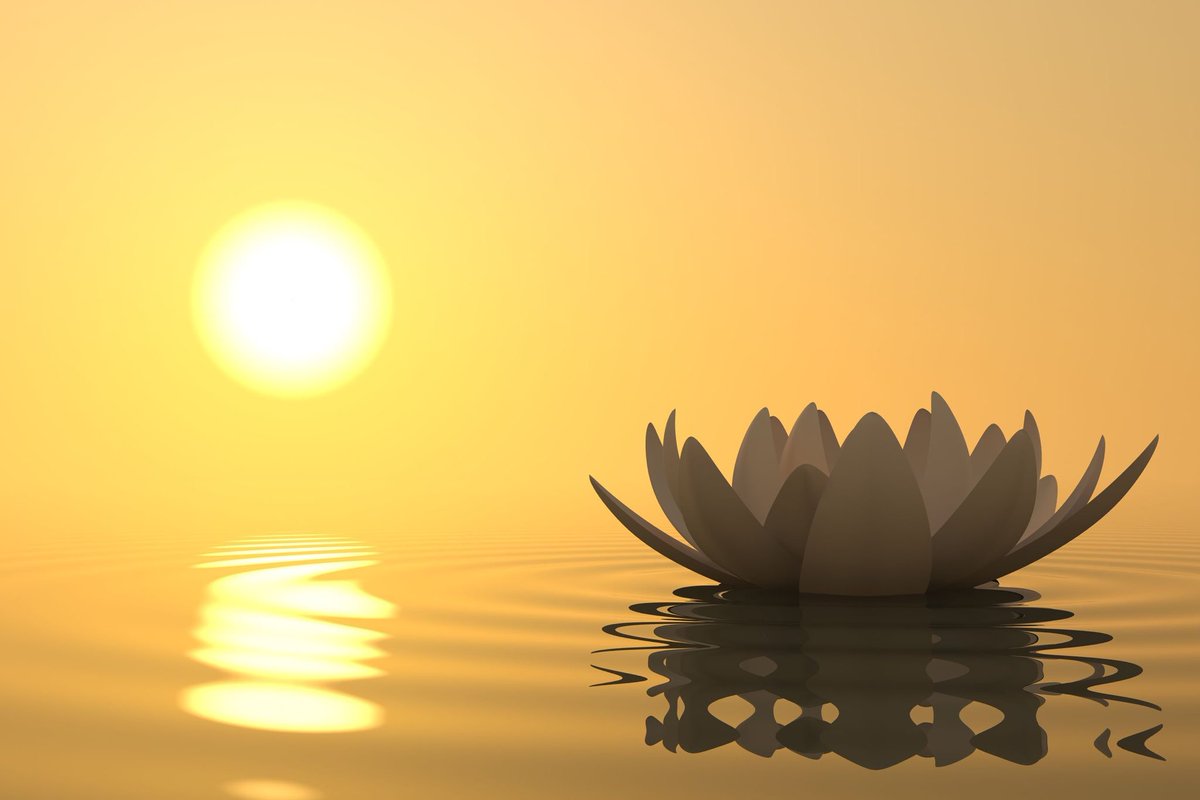 CarlaRussoPhD's tweet photo. Good morning! Wishing you a wonderful day. 🙏🏼 #DrCarlaRusso #PhD #ZenDoc #Mindfulness #Entrepreneur #DrCarla #zen  #zenperspective #yoga  #tea #teatime #monday https://t.co/vCi925cIfo