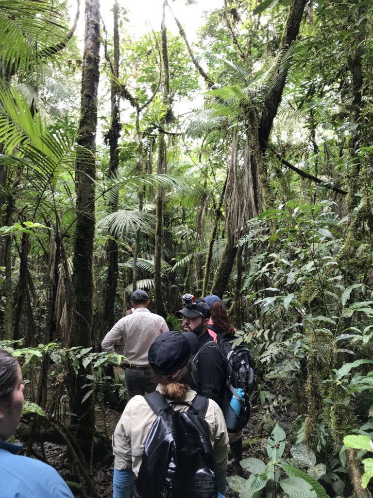 it has been fun Ecuadorian Amazon, now off to The Galapagos  #Yasuni #FieldBiology #Biodiversity 🤘🐊🐸🐍🐢🕷🦗🦋🐌🐛🦉🦅