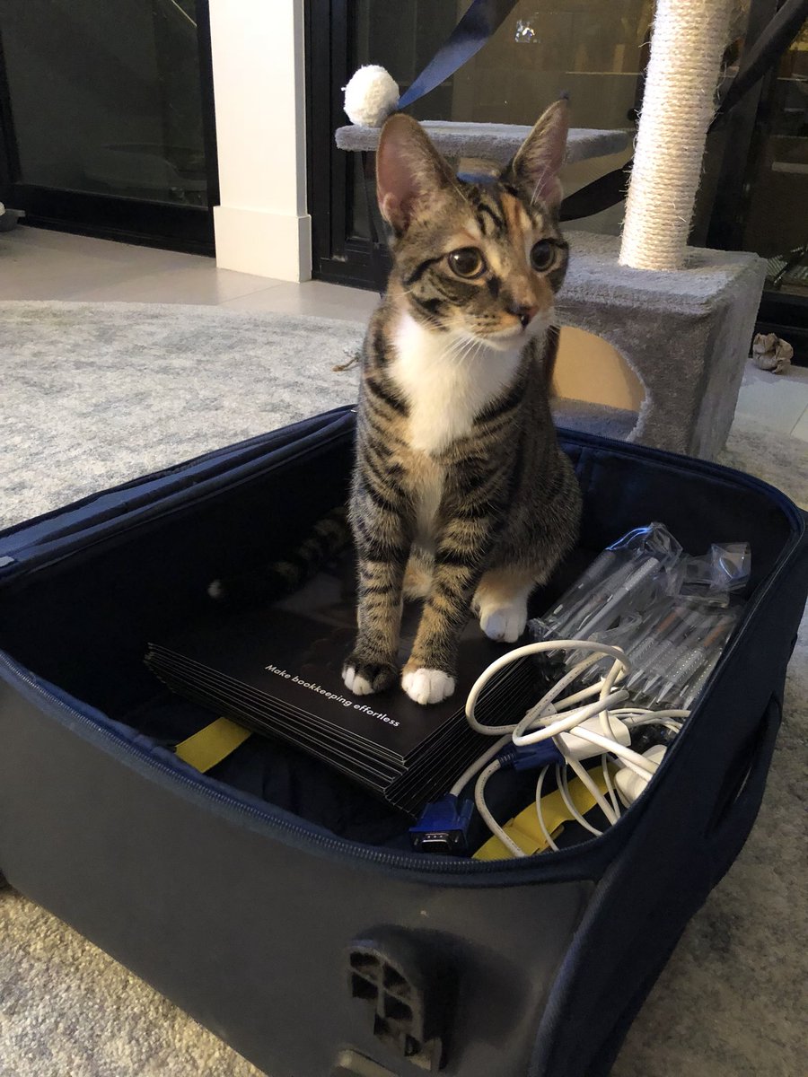 Looks like someone wants to come along for the AAT Roadshow in Melbourne on Wednesday! Sorry Izzy, no cats allowed! 😿