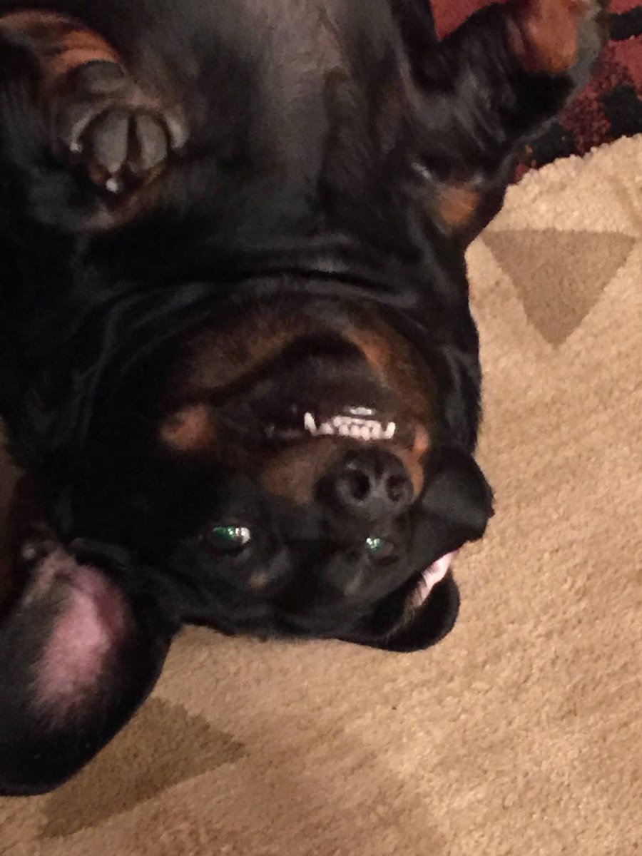 TheBigCheese810's tweet photo. Smile. https://t.co/AdKy53mqaM