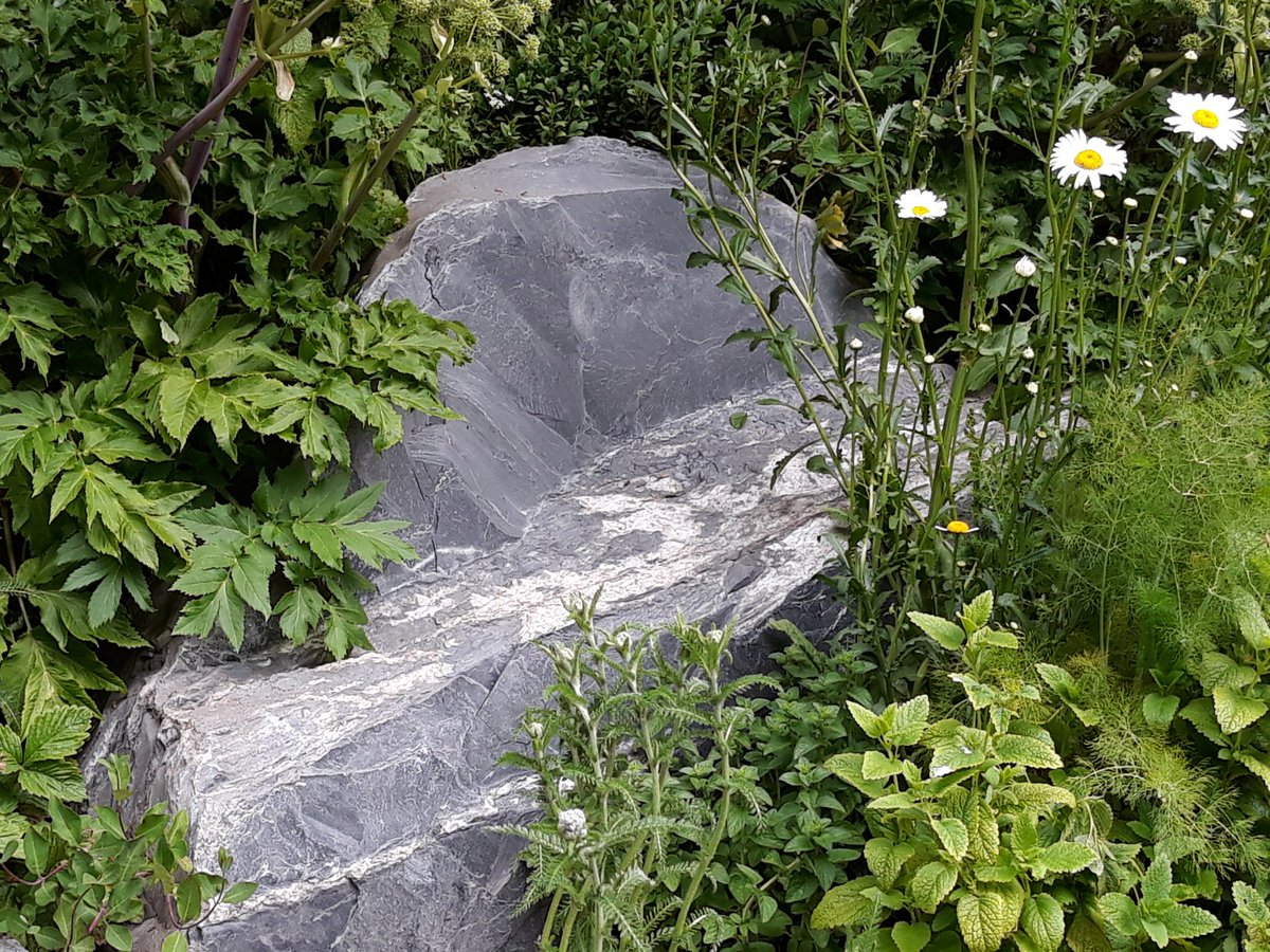 Simple rock seat blending seamlessly into the planting on Paul Hervey Brookes' Viking Cruises garden #RHSChelsea #takehomechelsea