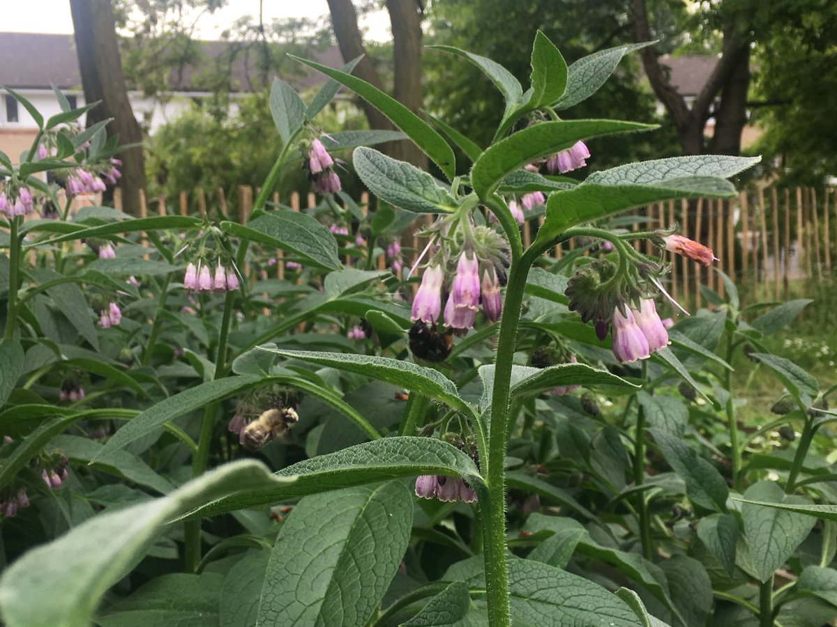 UrbanGrowthNW1 photo