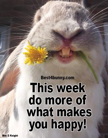Best4bunny's tweet photo. Monday motivation...
#MondayMotivation #MondayMorning https://t.co/EJ3MCusCbV
