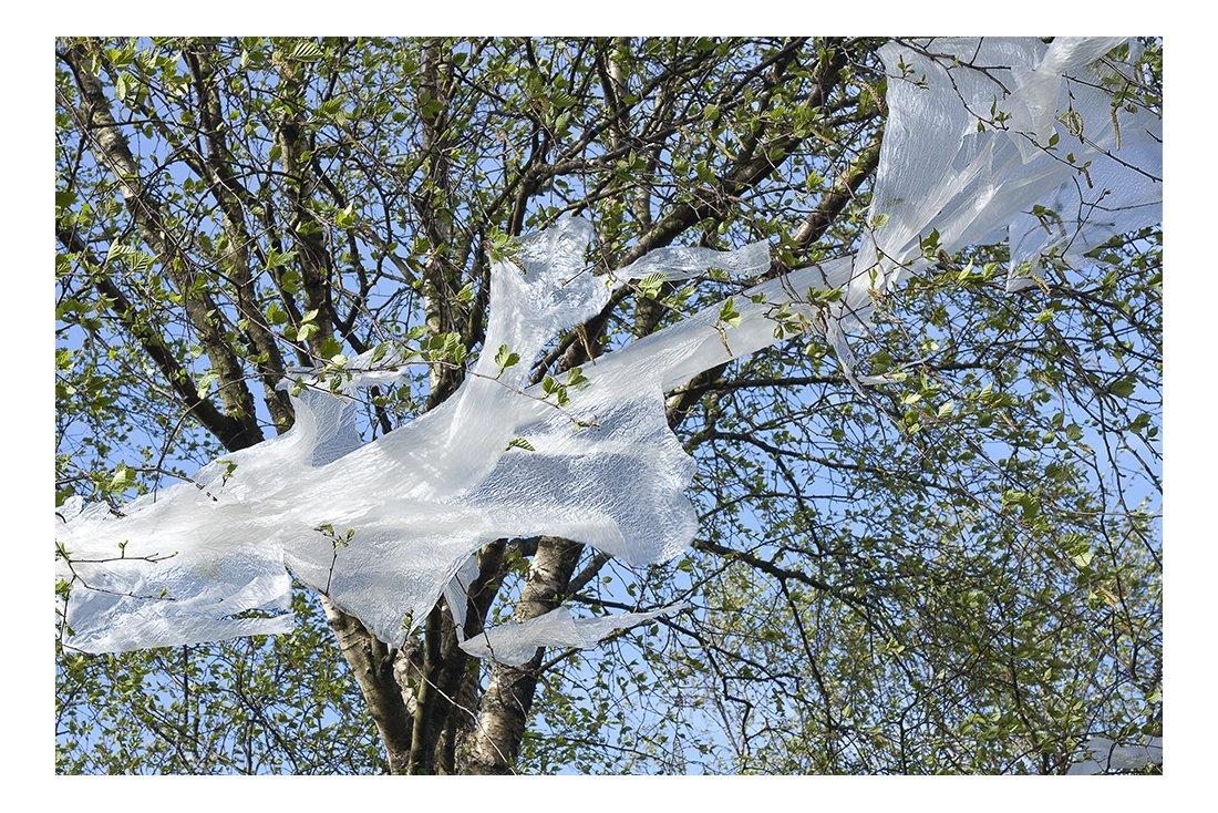 Plastic caught in trees, rippling in the breeze. #Rhondda #CelebrateRCT #photography #documentingspace #documentingwales #accessiblephotography #keepwalestidy