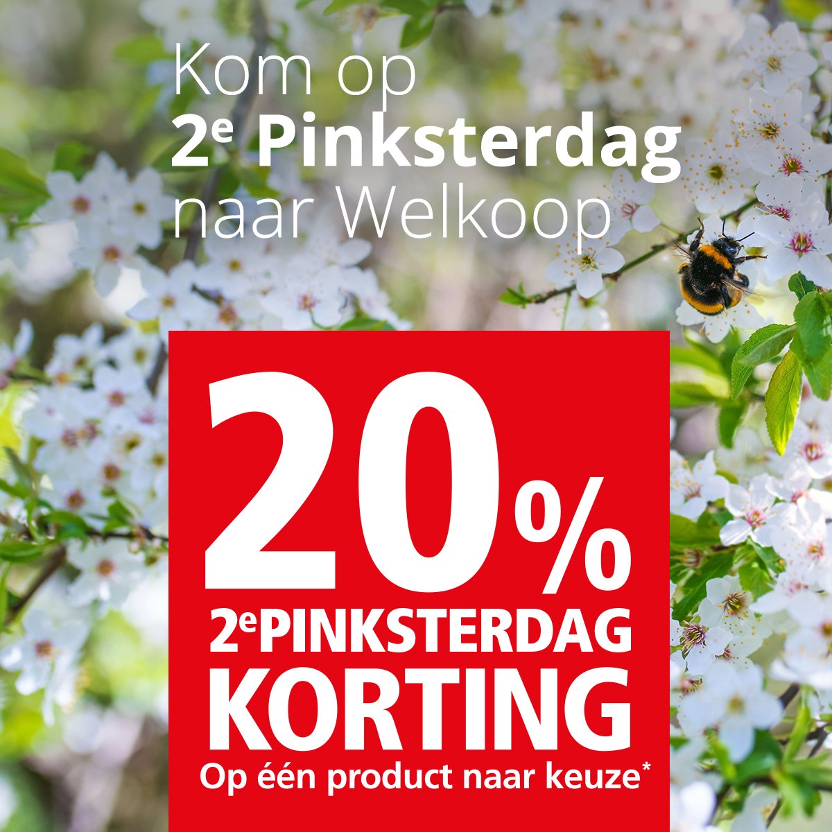 Kom je vandaag ook langs in 1 van onze winkels? Je ontvangt 20% #korting op 1 artikel naar keuze bit.ly/2IY5E48