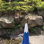 ツイートに含まれる画像