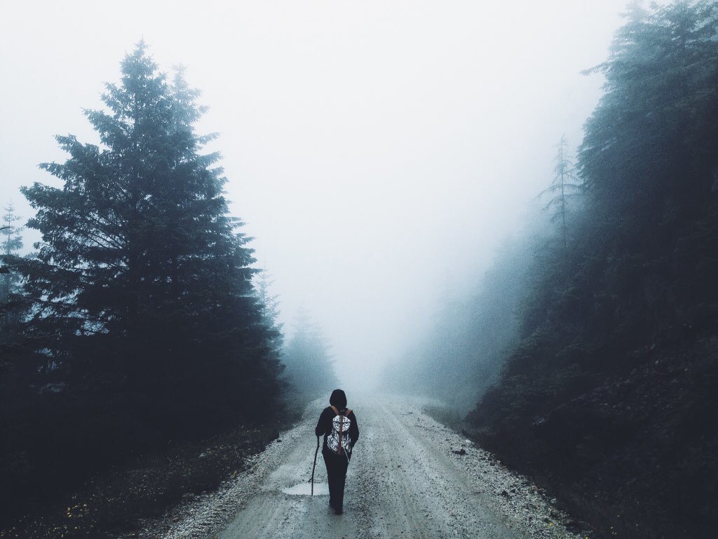 Its_WorldTravel's tweet photo. 🌲🚶🏽🌲 https://t.co/Fst41TQxsV