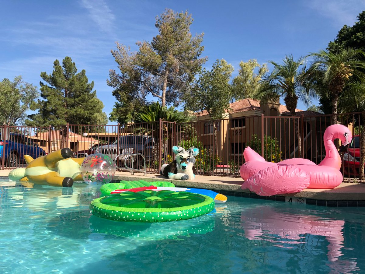 FreshwaterCacti's tweet photo. The best part of pool photoshoots is people telling me that I'll ruin my suit. #furry #fursuit #poolside #pooltoyfurs #inflatablefurs #youcanheartheirbuttholesnapshutfromhere https://t.co/teFzr3QAKr