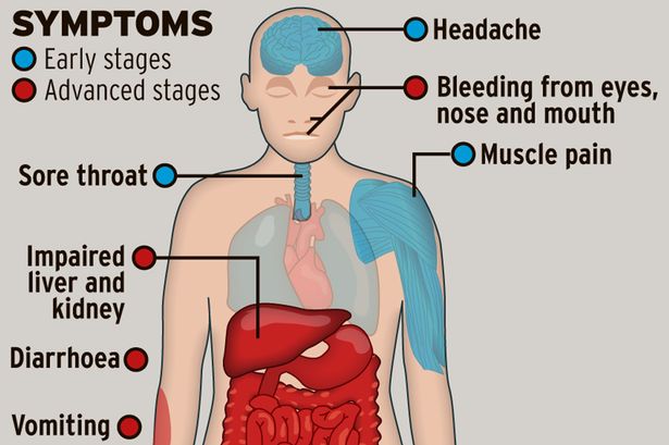 SANTIAGO🏇 sur Twitter : "These are the symptoms of #Nipah virus infection. https://t.co/bKqj3QaLbN" / X