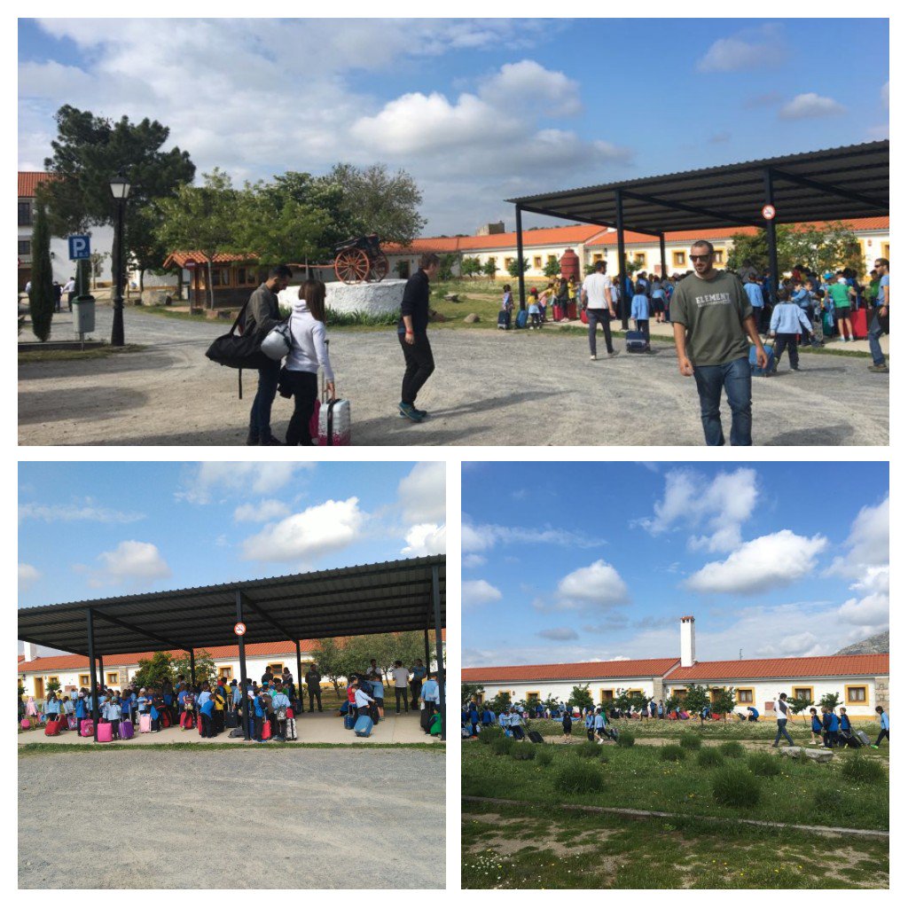 ColegioAmoros's tweet photo. ¡Qué ganas teníamos! . Y por fin llegó el día. 3 #PrimAmoros ha llegado con muchas ganas de disfrutar y pasarlo genial a la Granja Naturescorial. Tres estupendas jornadas nos quedan por delante....seguiremos informando https://t.co/y1dhnyJkSH
