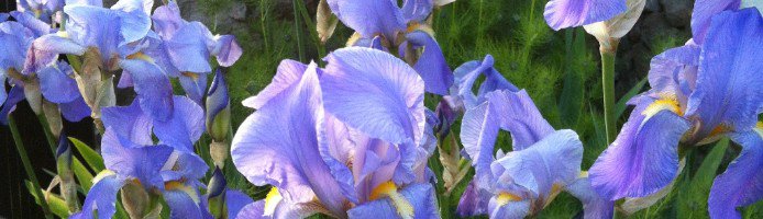 SDBE_Update's tweet photo. "Duty makes us do things well, but love makes us do them beautifully"
- Phillips Brooks
https://t.co/so0oP47qZu #MondayMotivation #ThoughtForTheWeek #ChurchSchools @DioSalisbury #Wiltshire #Salisbury #Dorset #RoyalWedding https://t.co/Tq3x8kZR5C