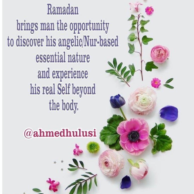 Hasan Güler tweet media