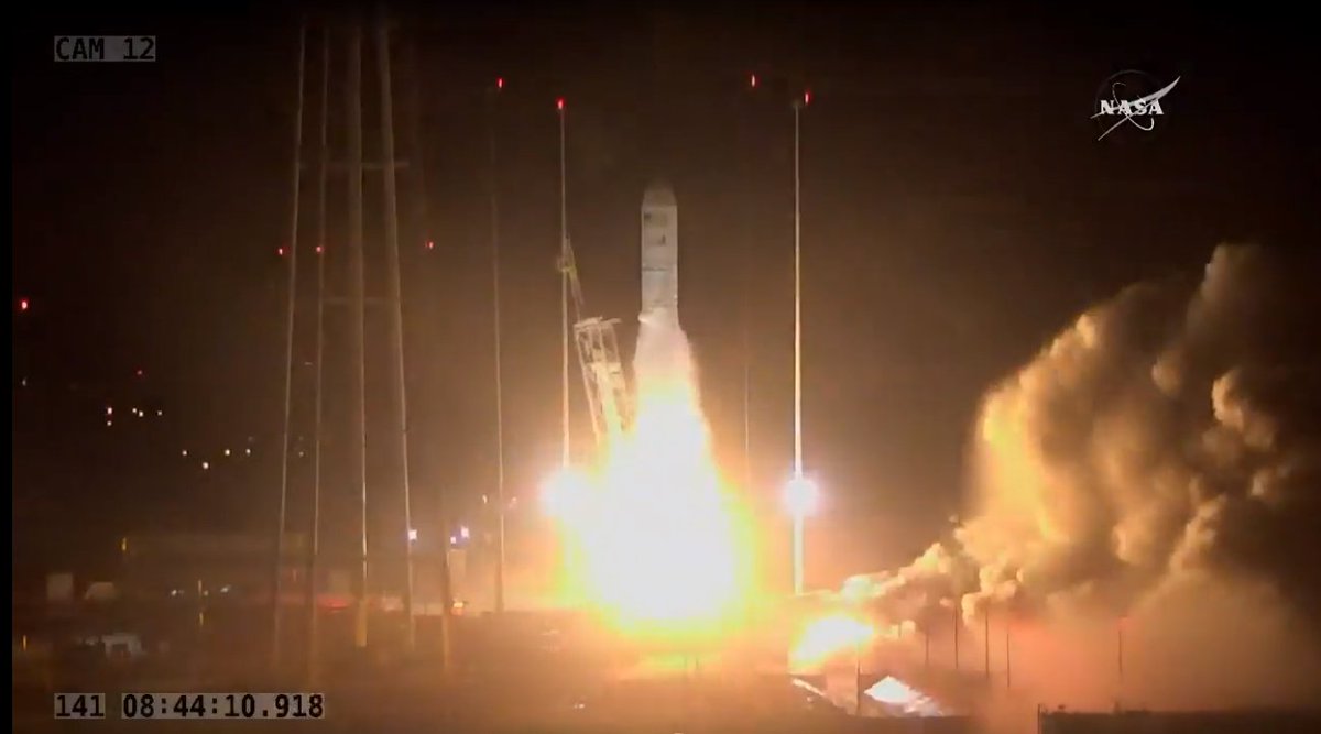 Ani Vermeulen tweet media