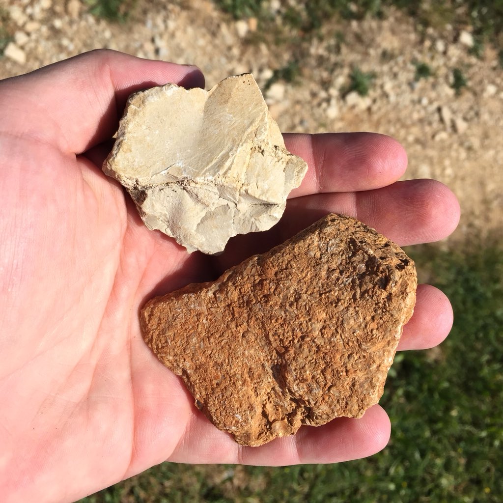 wgfkelley's tweet photo. Meursault Chevalières and Rougeots. To anyone who has tasted the wines, this will make a lot of sense... https://t.co/yboVYeHGcW