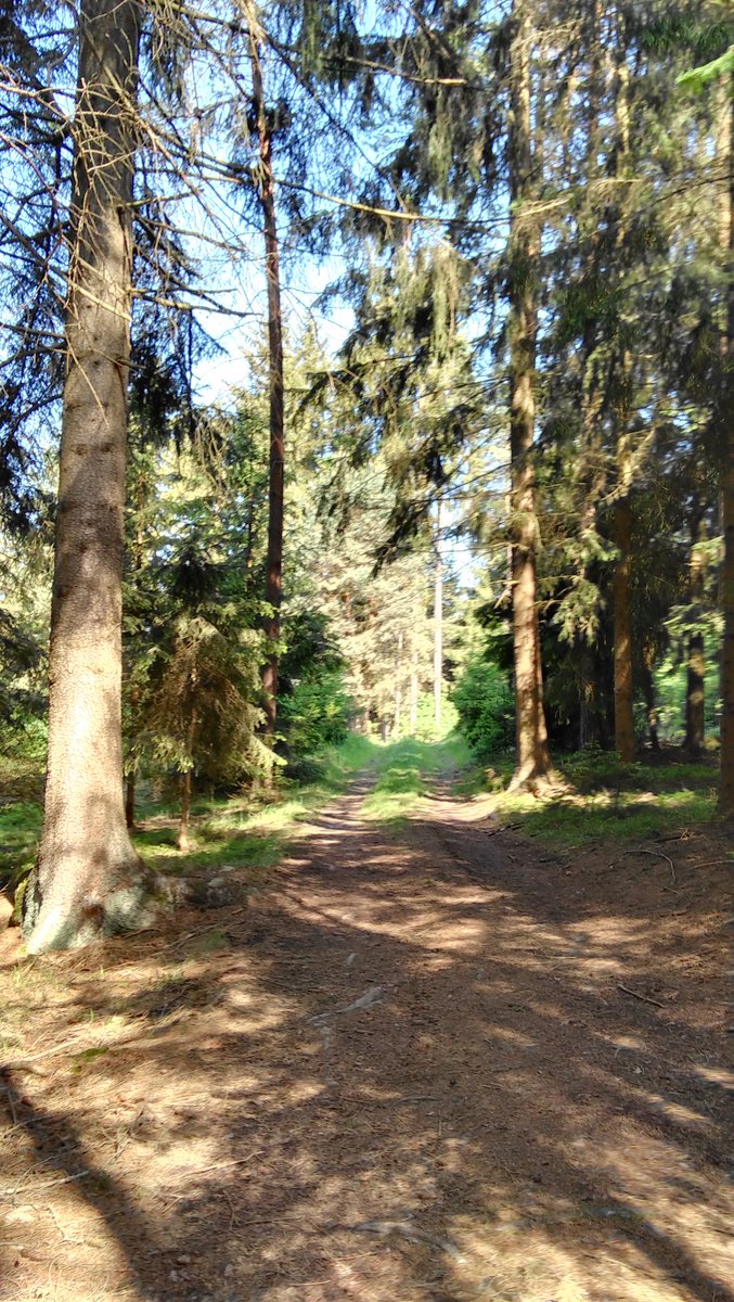Entlang der 2 Flüsse MTB Strecke die Urkraft des #Waldviertel entdecken @waldviertel_noe