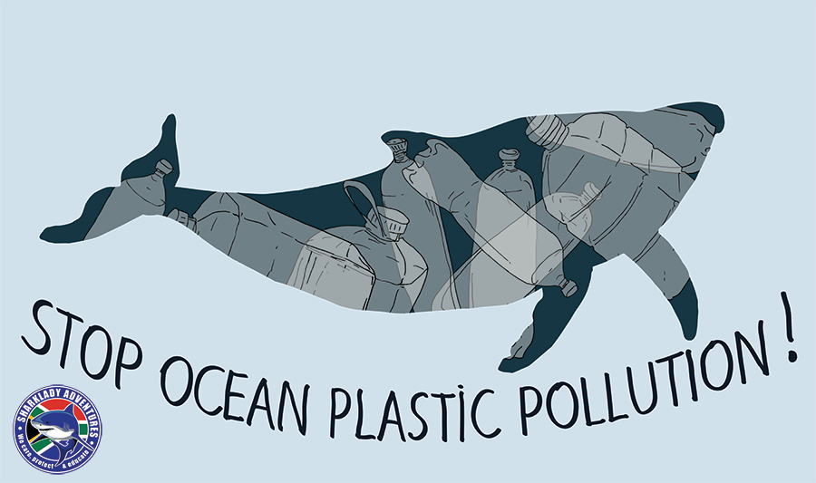 sharkdiveZA's tweet photo. Did you know: Plastic is the most common element that is found in the ocean? 
It is harmful for the environment as it does not break down easily and is often mistaken for food by marine animals. https://t.co/i2VPhzjQf5