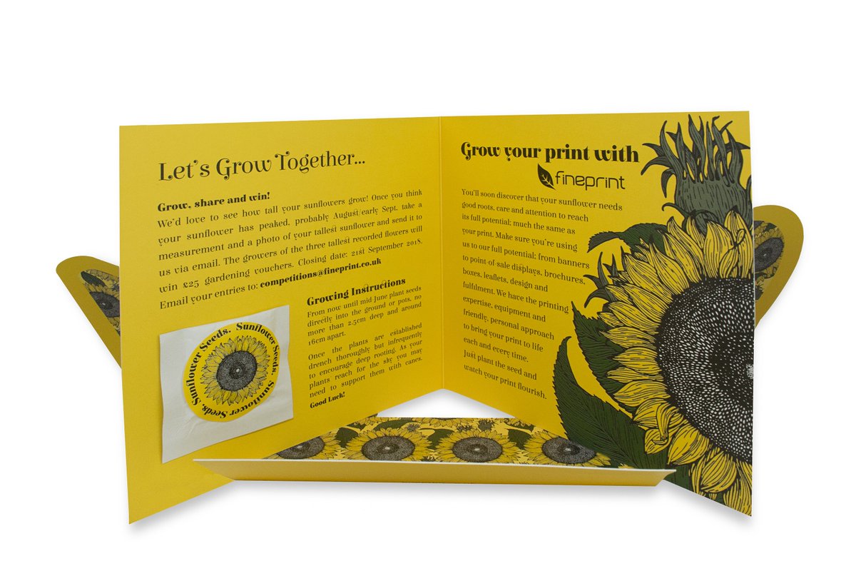 Fine Print tweet media