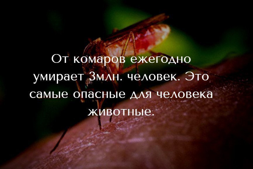 каждый год умирает