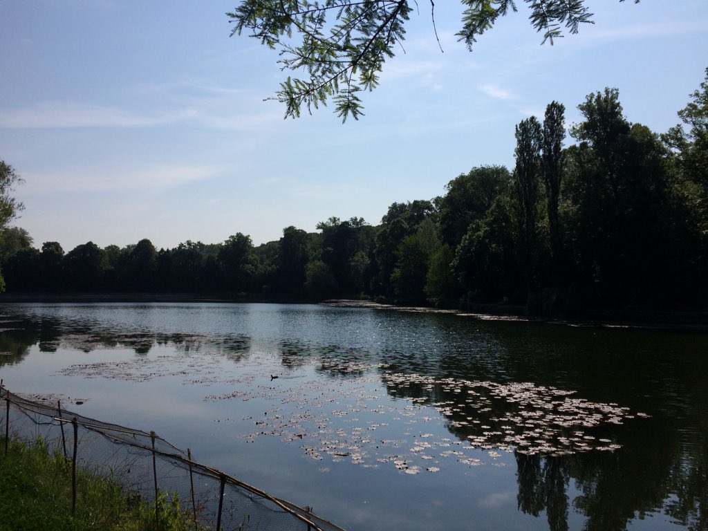 42Runner92's tweet photo. Reprise après 1 semaine de coupure @SportChallengeP 1 heure avec 300 de d+ #run #trail #course #traildespasserelles #running https://t.co/YRCMxJJ3bw
