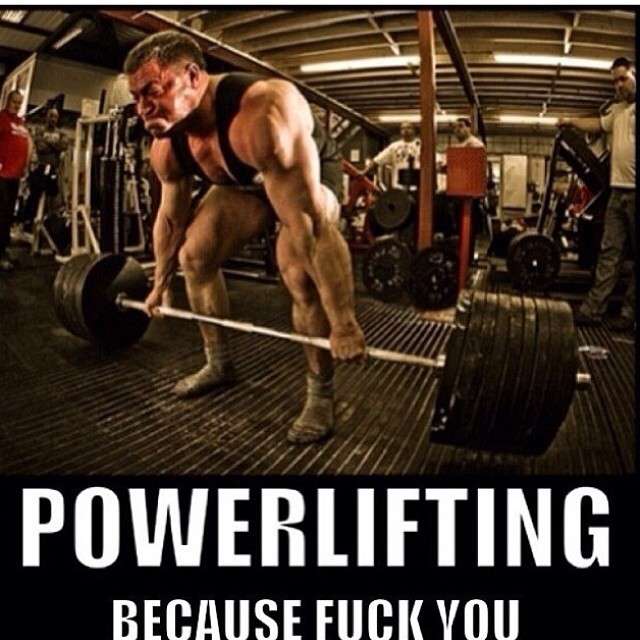 Gym Lifestyle tweet media