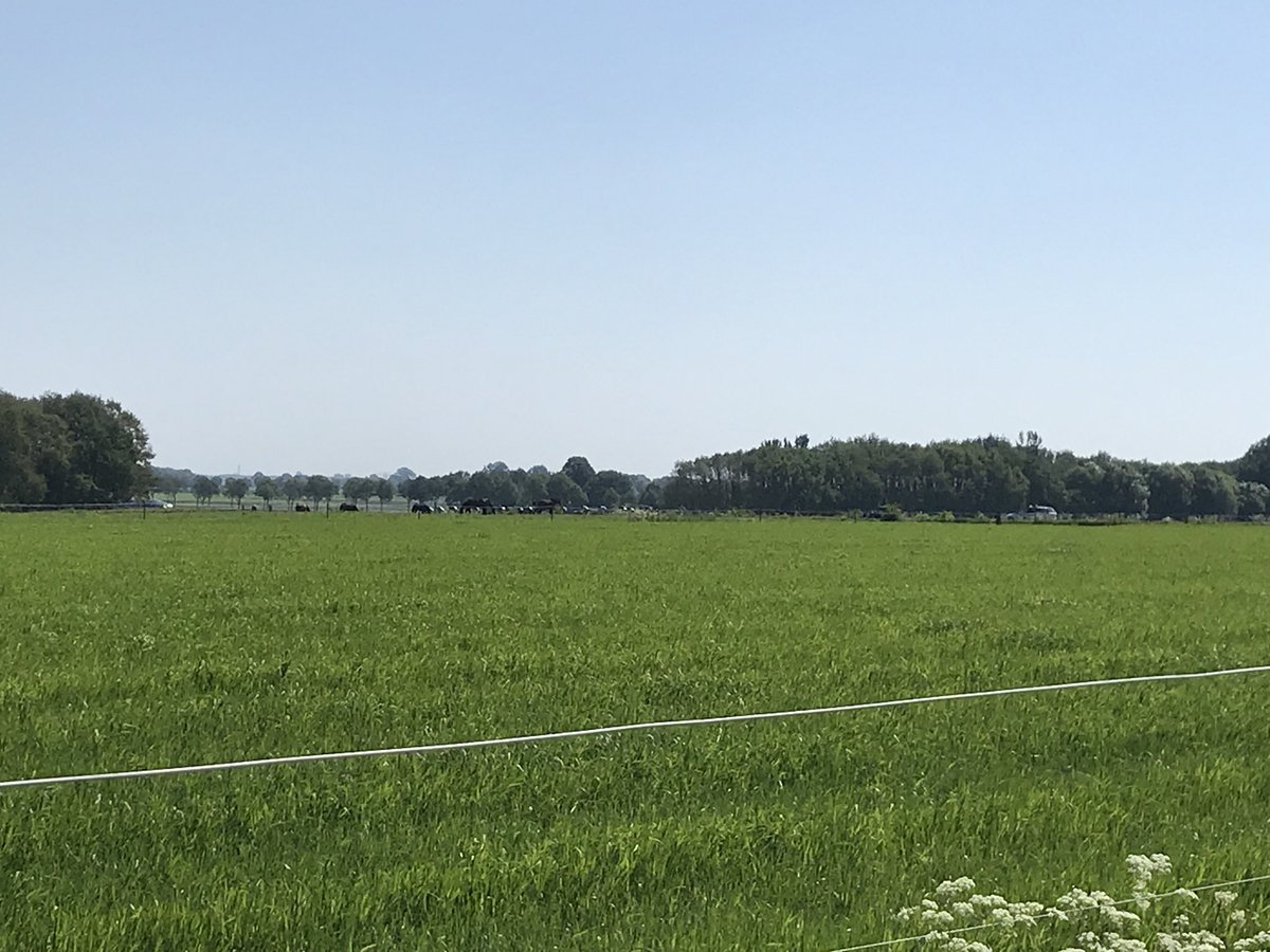 WK2020NL's tweet photo. Vandaag in Gieten wordt gestreden om de titels bij de districtskampioenschappen wielrennen #dknoord. Met deze wind een mooie koers met mooie beelden #opfietse #hondsrug https://t.co/zOWViFN2Hb