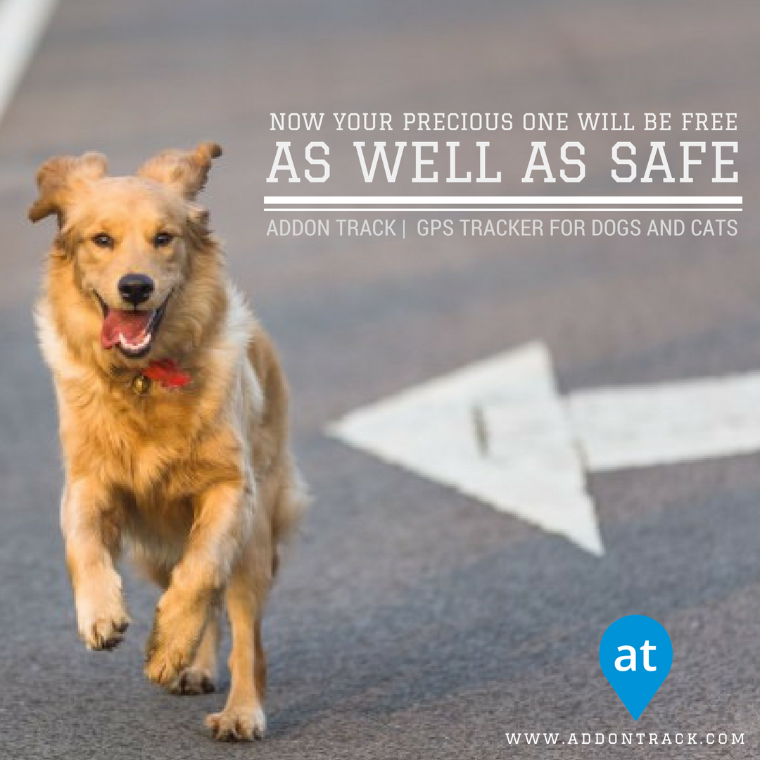 addonTrack tweet picture