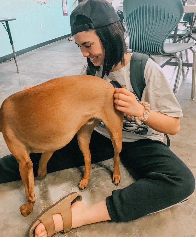 [ INSTA : peachase ]

      ‘WHO’S A GOOD BOY???’