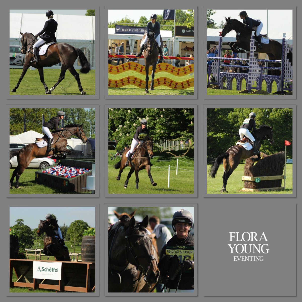 Second ⭐️goes to Dolly for her awesome double clear in only her second CIC2*at <a href="/FairfaxFavor/">FAIRFAX & FAVOR</a> Rockingham International. Again a huge thanks to <a href="/falpro_tweets/">FALPRO</a> <a href="/ChampionSafety/">Champion</a> <a href="/SaracenFeeds/">Saracen Horse Feeds</a> <a href="/Shearwater_Ins/">Shearwater Insurance</a> <a href="/BelvoirRugCo/">BelvoirRugCo</a> <a href="/Devoucoux/">Devoucoux</a> <a href="/EquineAthletes1/">Equine Athletes</a> #eventing