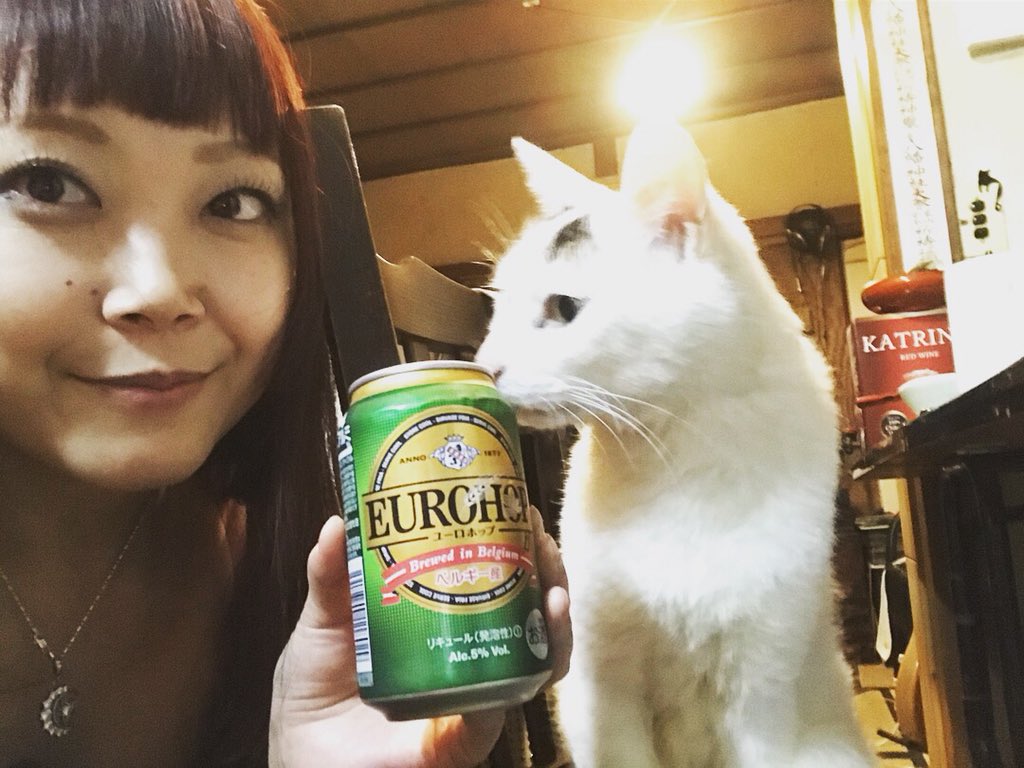 ビール猫 Hashtag On Twitter