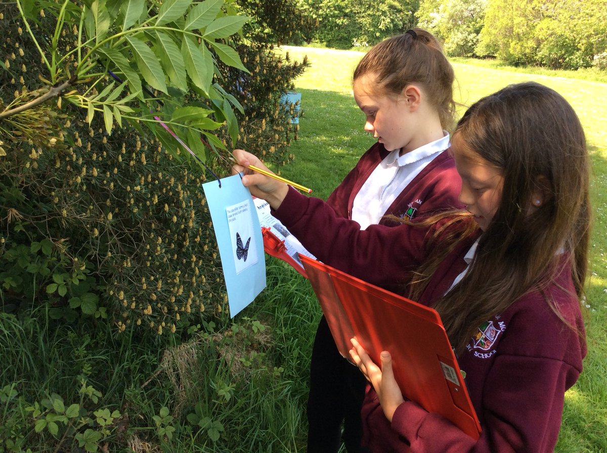 Y5MelthamMoor's tweet photo. Hunting for clues to help us order the life cycle of insects & amphibians that undergo metamorphosis #melthammoorscience #❤️learning #workingwild https://t.co/uJW8EXtRXU