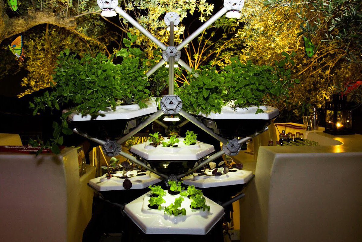 L’ #idroponica piace, soprattutto se è in versione casalinga, modulare e connessa alla Rete. Scopri alcune delle startup che erano presenti a #SaC18 
bit.ly/2x0d9CR <a href="/startup_italia/">StartupItalia</a>  <a href="/Robonica1/">Robonica</a> <a href="/Hexagro_UF/">HexagroUrbanFarming</a> <a href="/OWNGreens/">OWN Greens</a> <a href="/LettUsGrow/">LettUs Grow</a> <a href="/Nutritower/">Nutritower INC.</a>