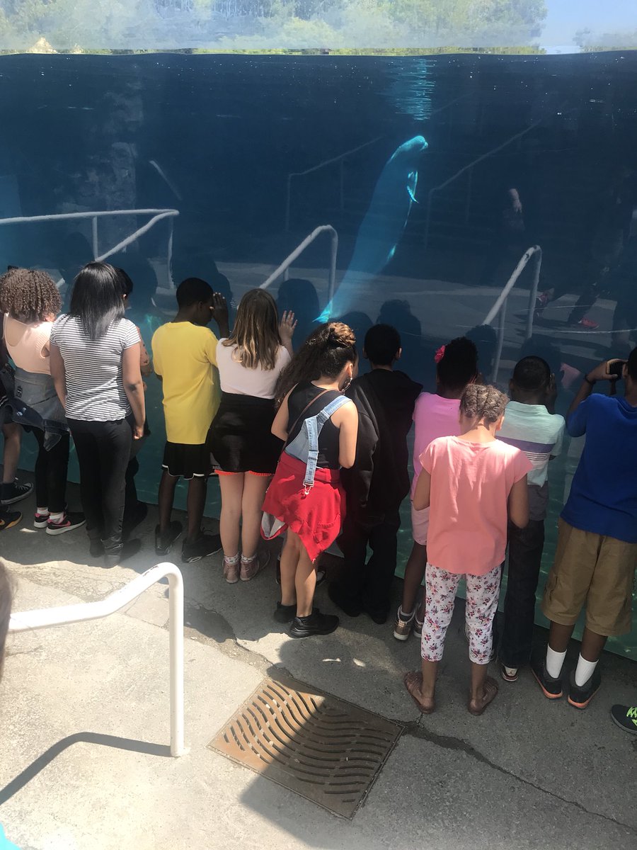 Had a blast at Mystic Aqaurium! <a href="/MPS_Verplanck/">Verplanck Elementary</a> <a href="/mpspride/">Manchester Schools</a>